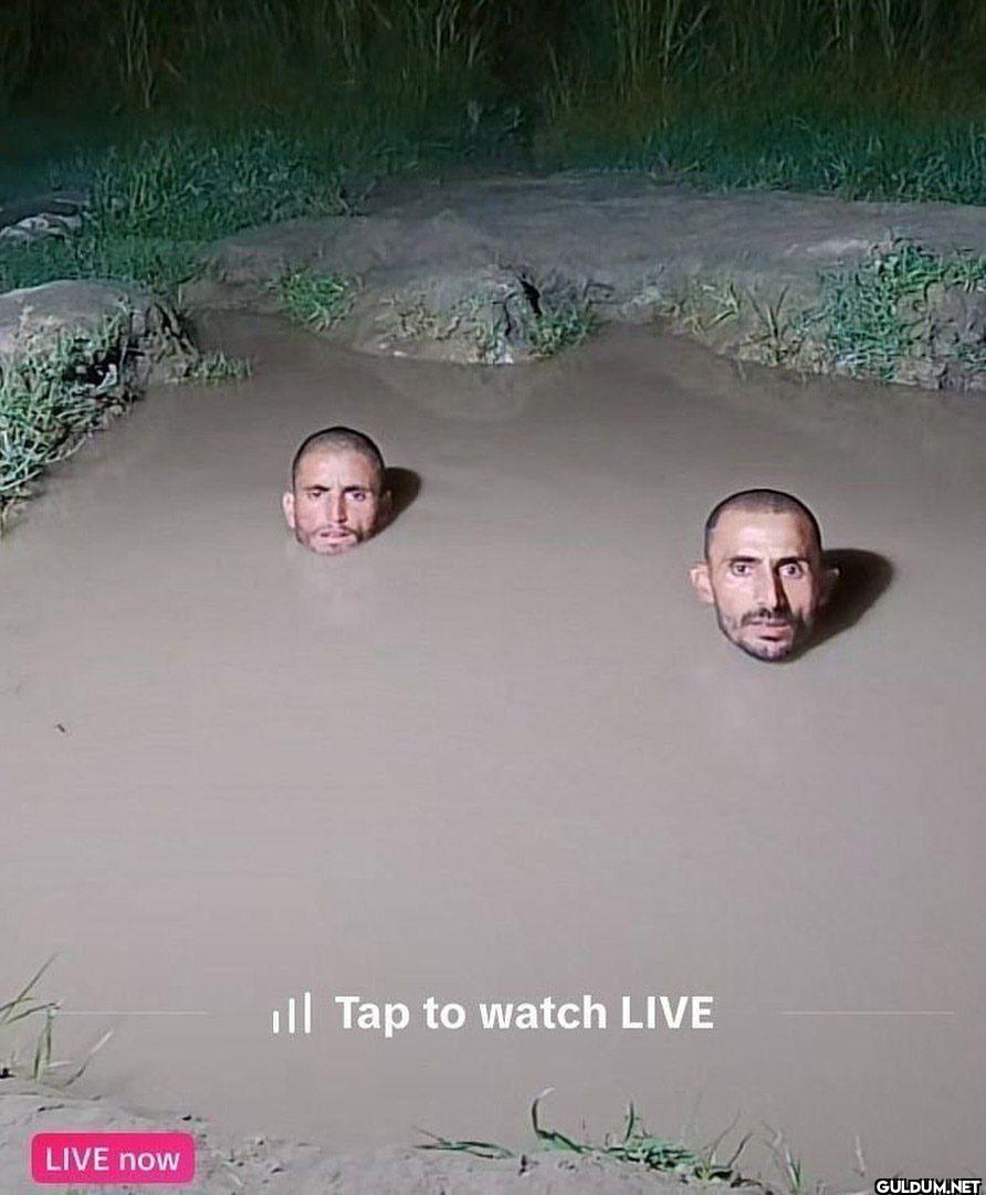 LIVE now ill Tap to watch LIVE