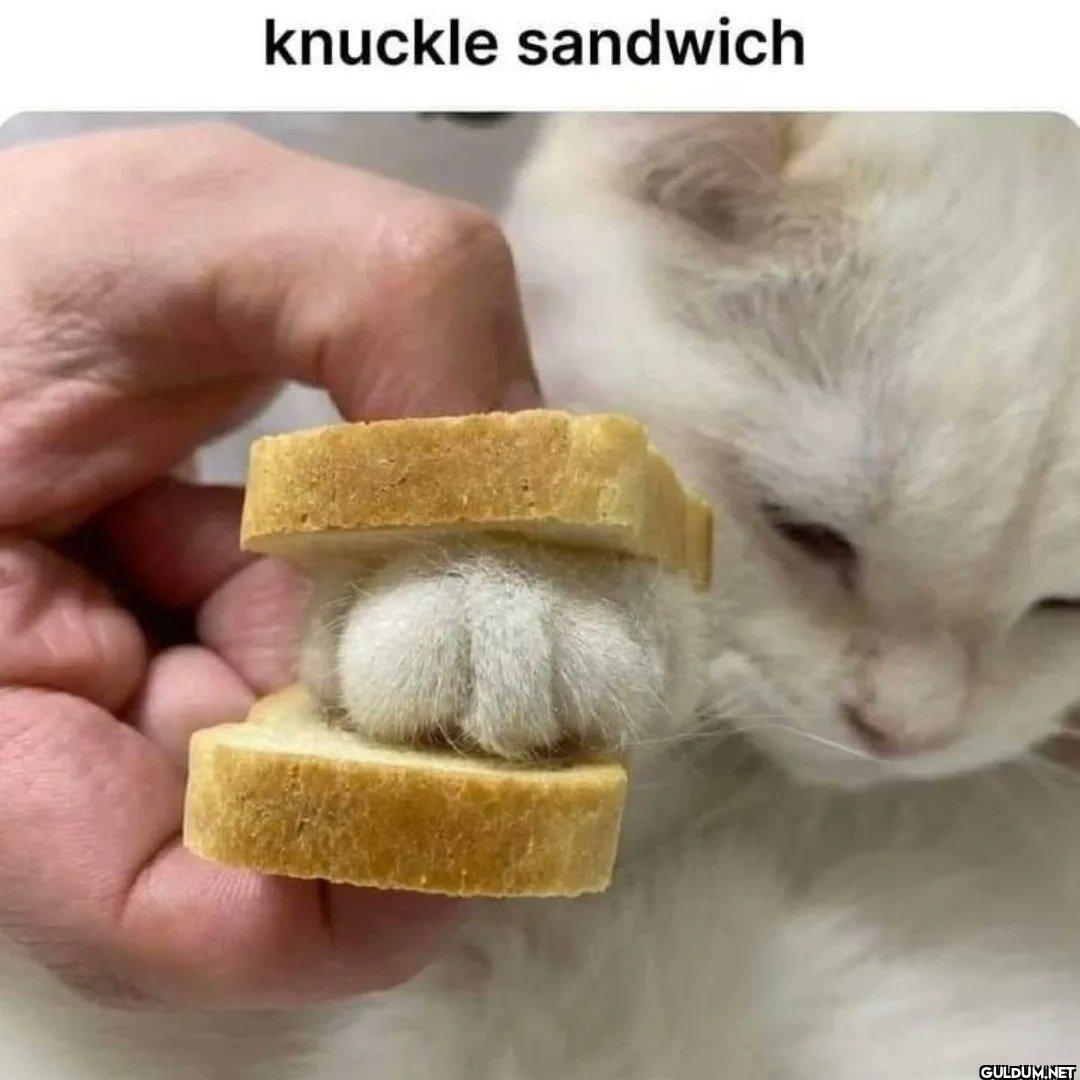 👊🥪    knuckle sandwich
