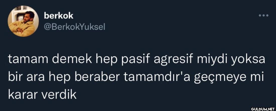 tamam demek hep pasif...