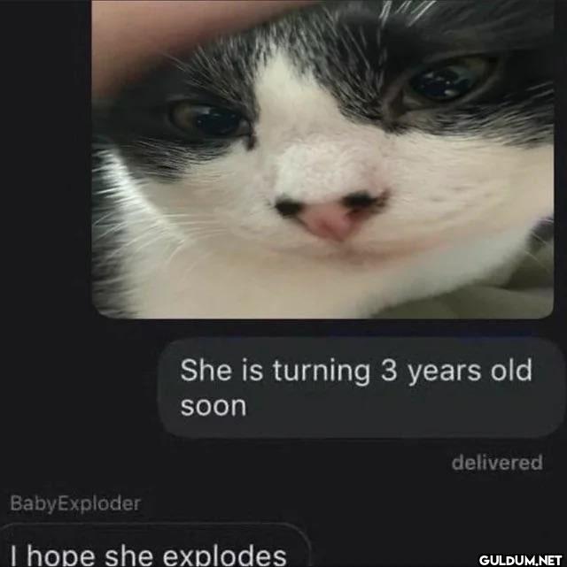 She is turning 3 years old...