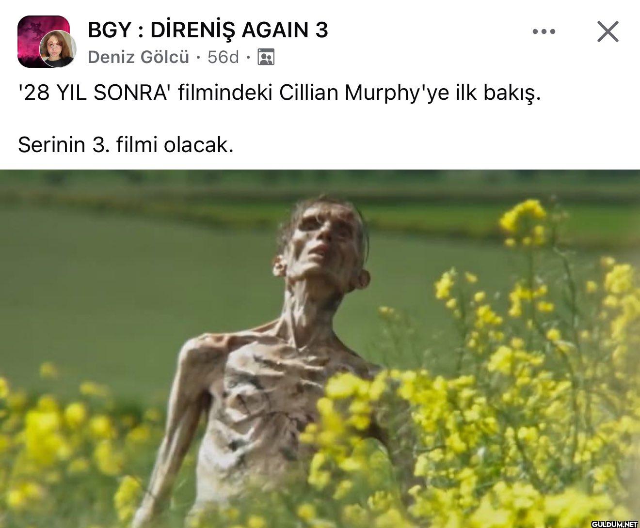 Kaliteli zombi filmi...