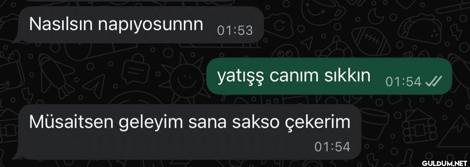 Nasılsın napıyosunnn 01:53...