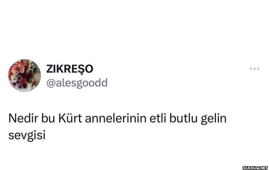 Nedir bu Kürt annelerinin...