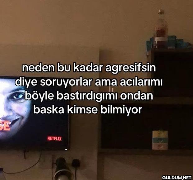 neden bu kadar agresifsin...