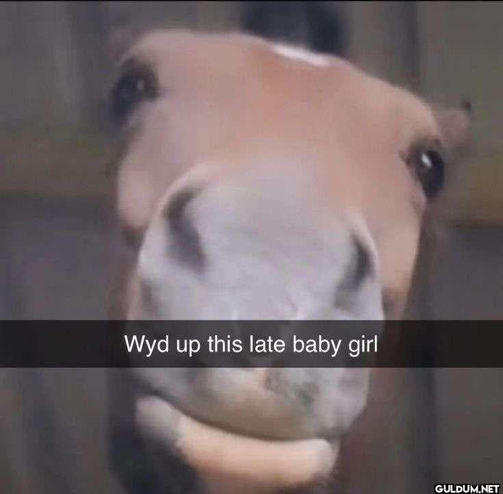 Wyd up this late baby girl