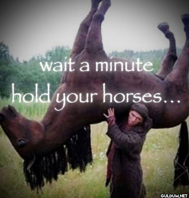 wait a minute hold your horses...