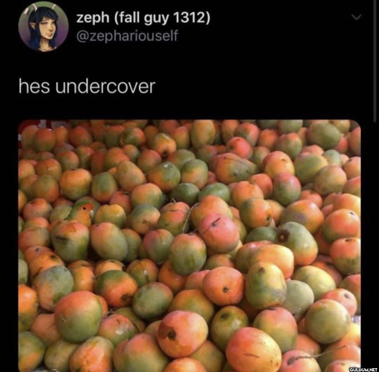 hes undercover