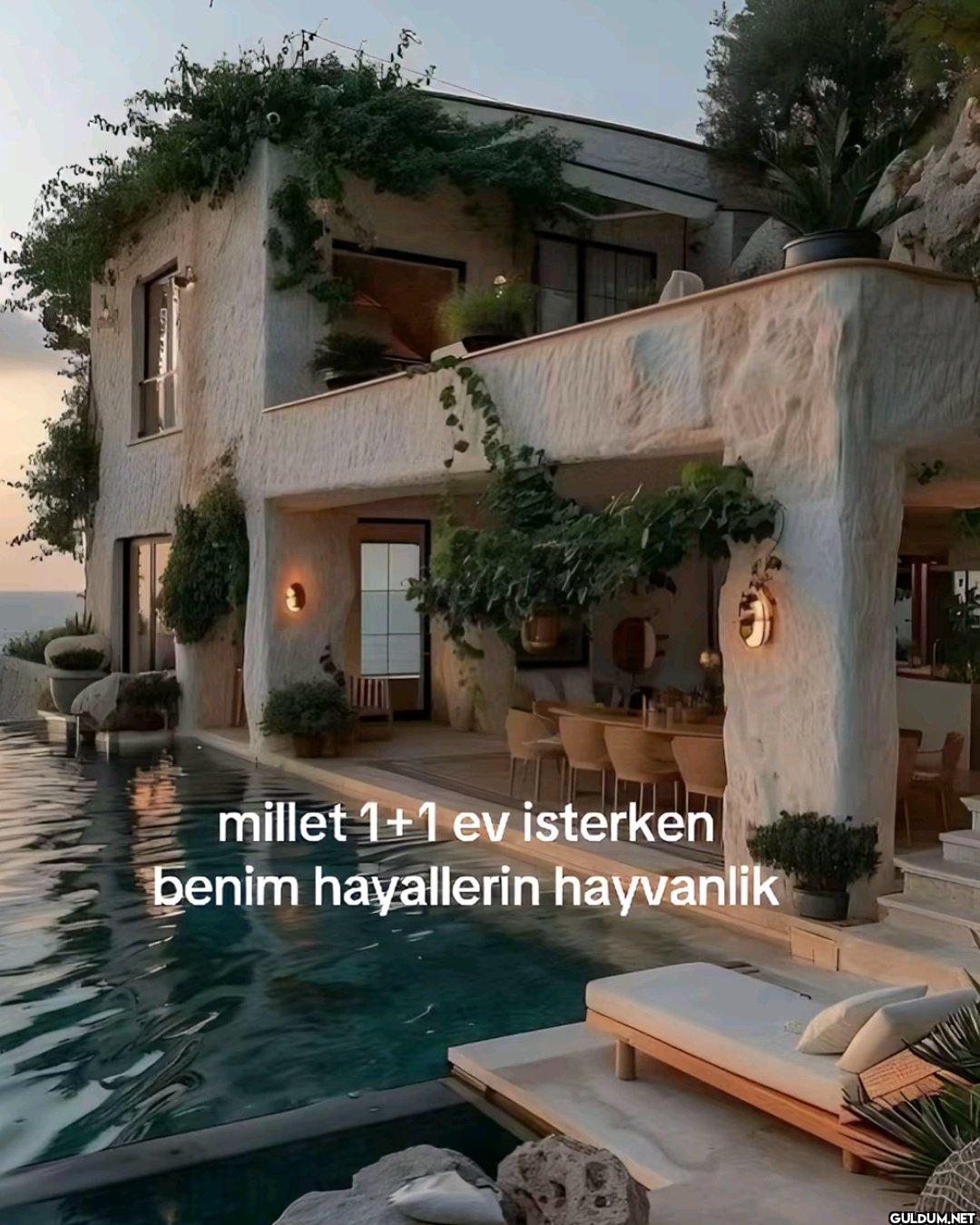 M millet 1+1 ev isterken...
