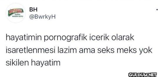 hayatimin pornografik...