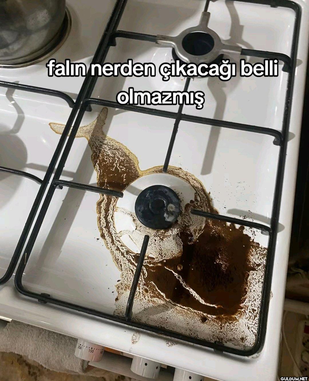 falin nerden çıkacağı...