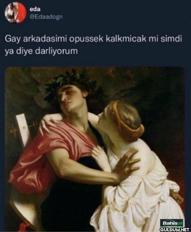 Gay arkadasimi opussek...