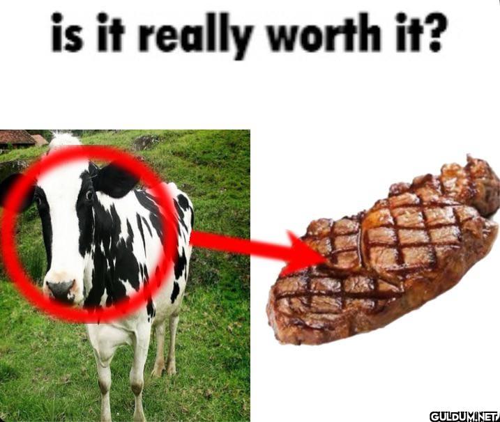 is it really worth it?