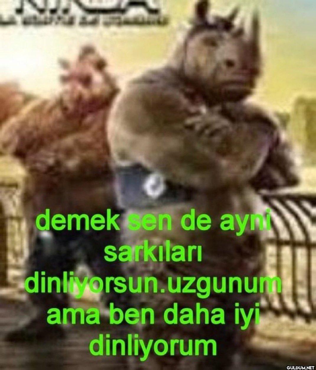 demek sen de ayn sarkıları...