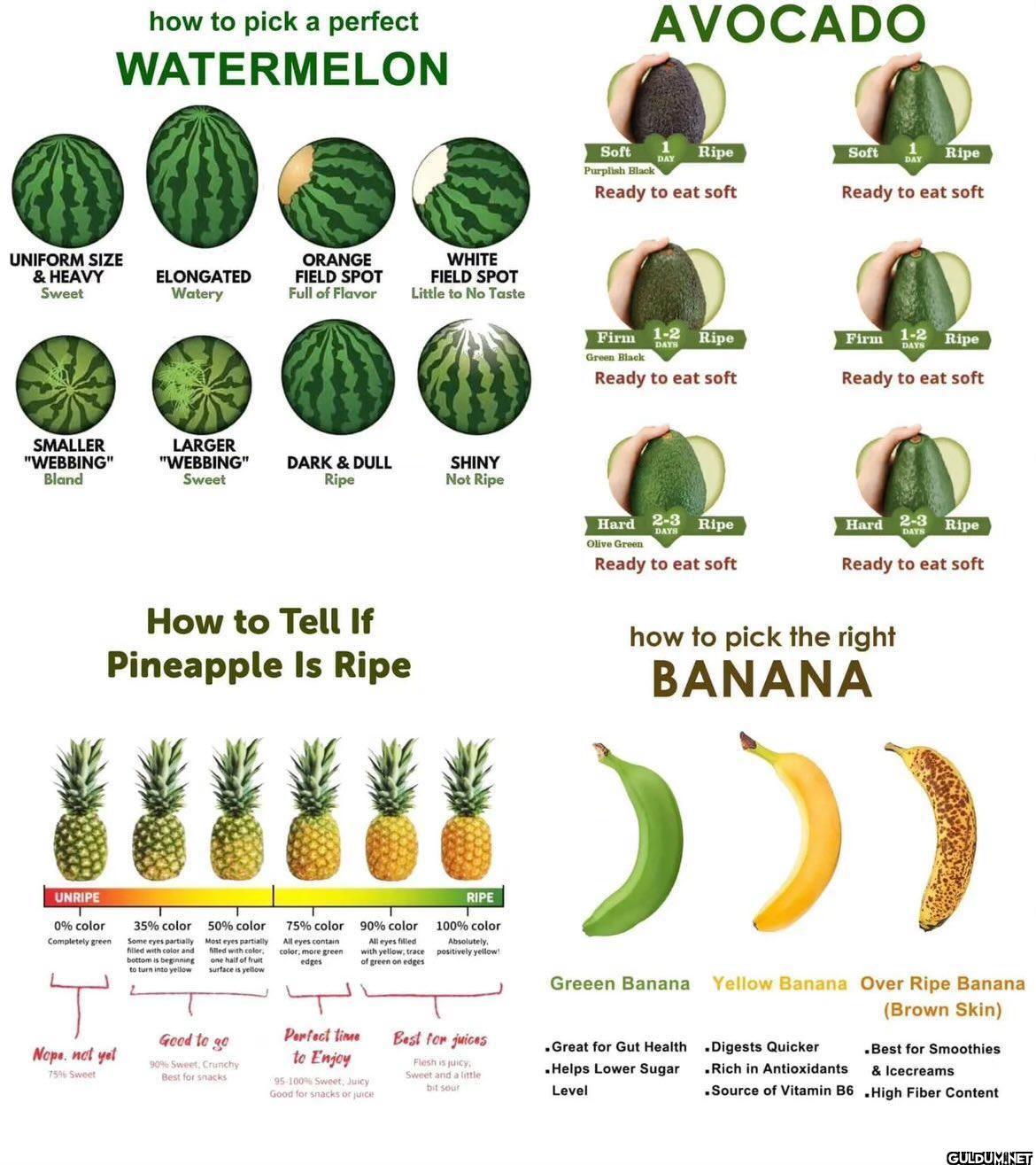 8. A cool guide on...