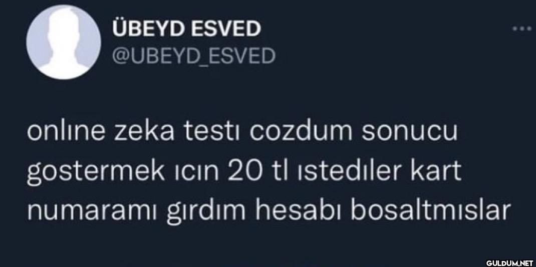 online zeka testi cozdum...