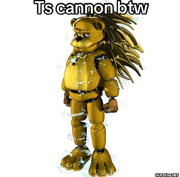 Ts cannon btw