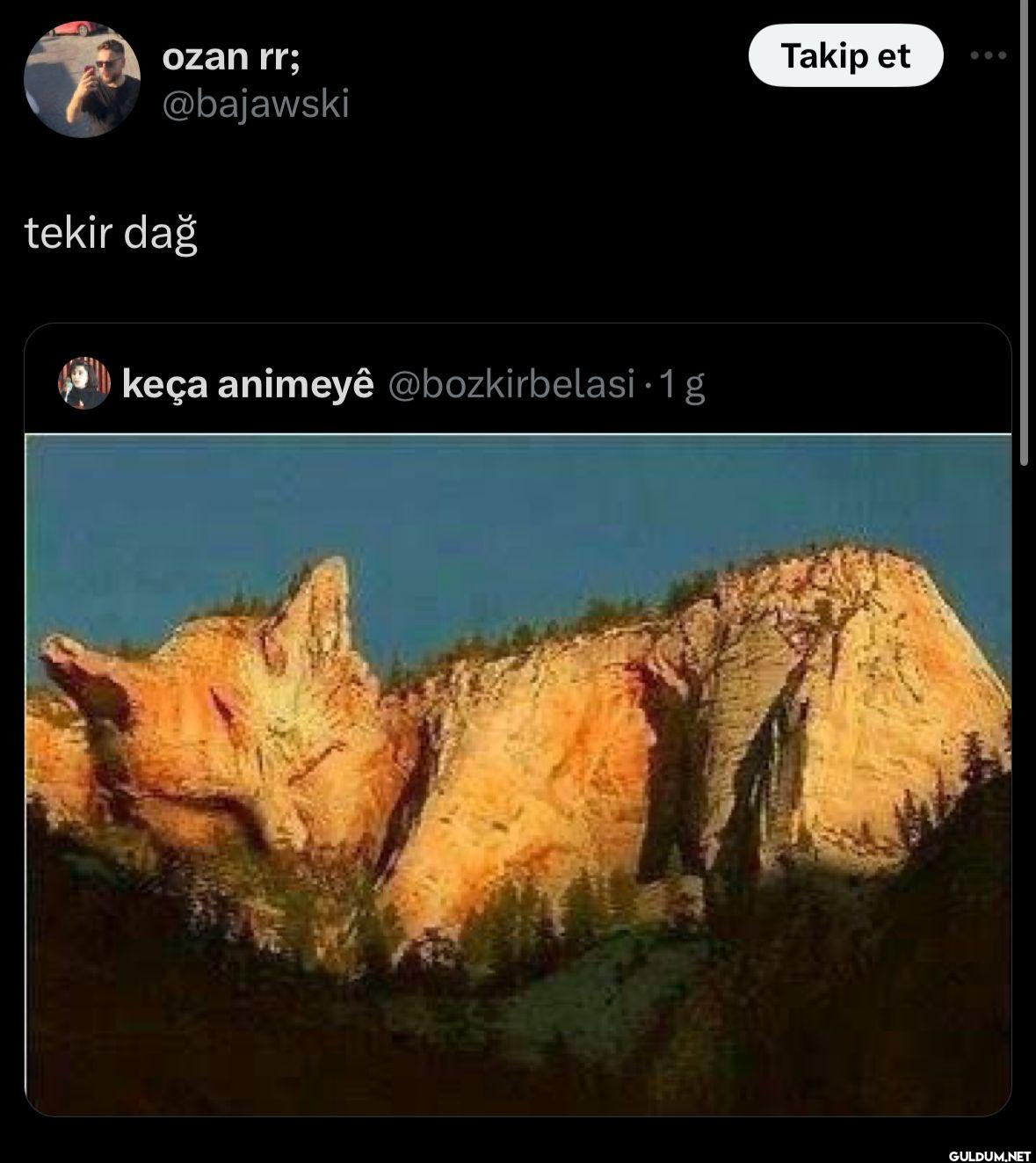 tekir dağ keça animeyê...