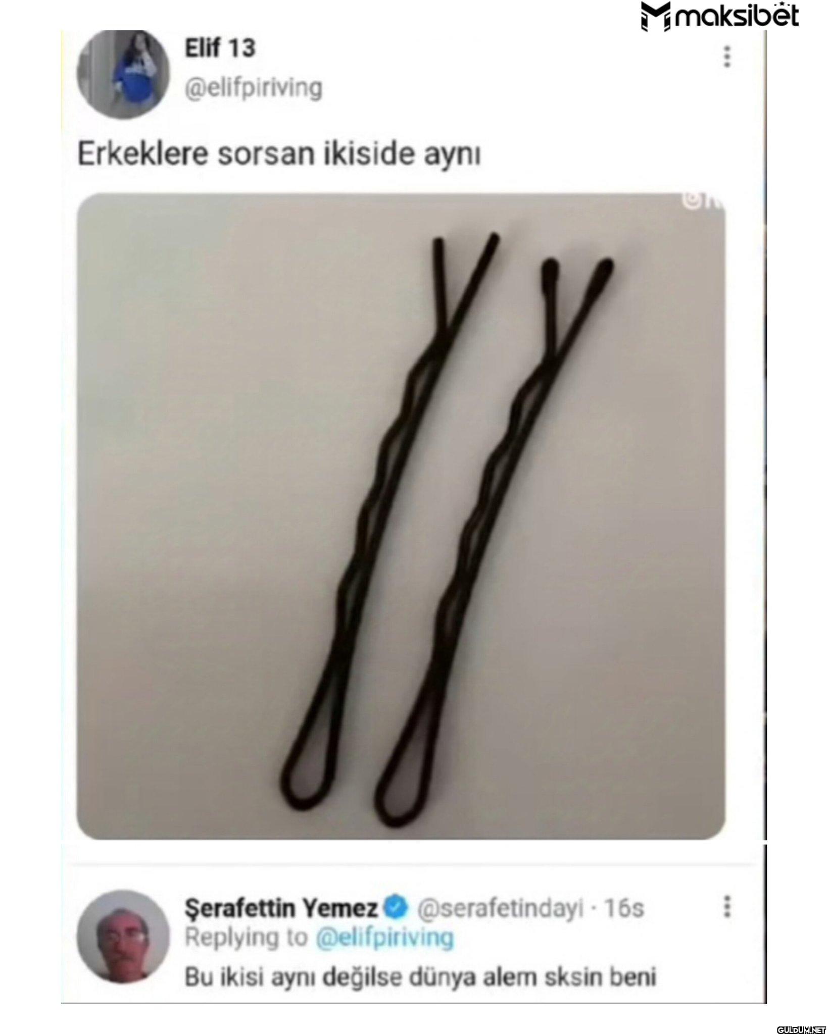 Erkeklere sorsan ikiside...