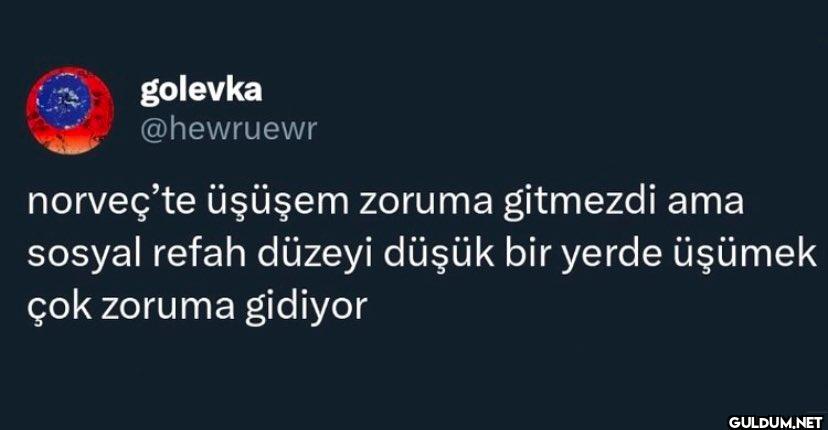 norveç'te üşüşem zoruma...