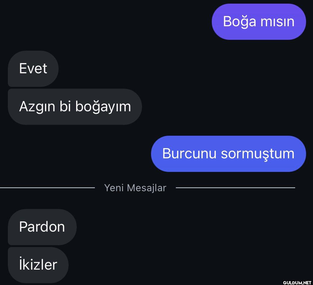 Evet Azgın bi boğayım...