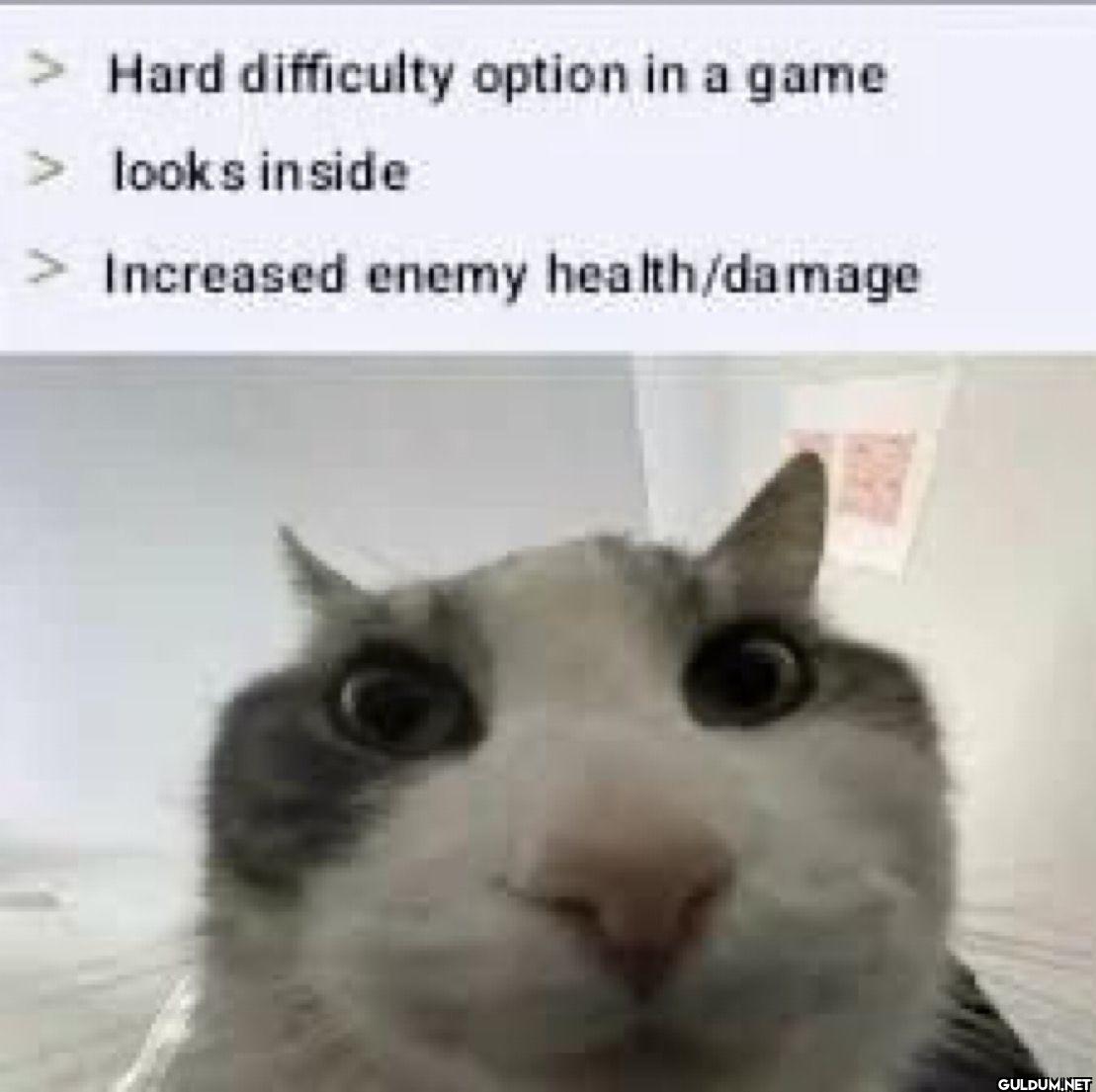 Hard difficulty option in...