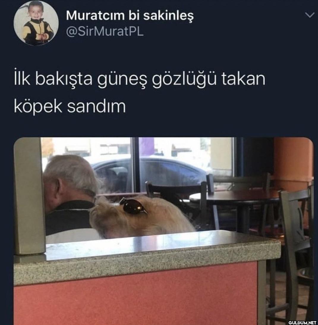 > İlk bakışta güneş...