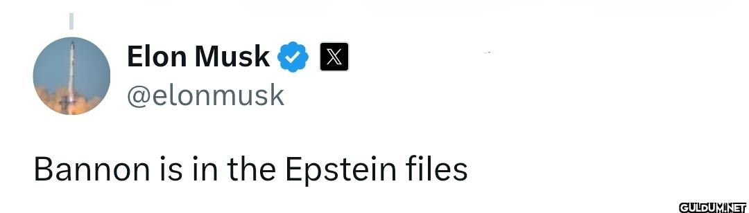Bannon is in the Epstein files