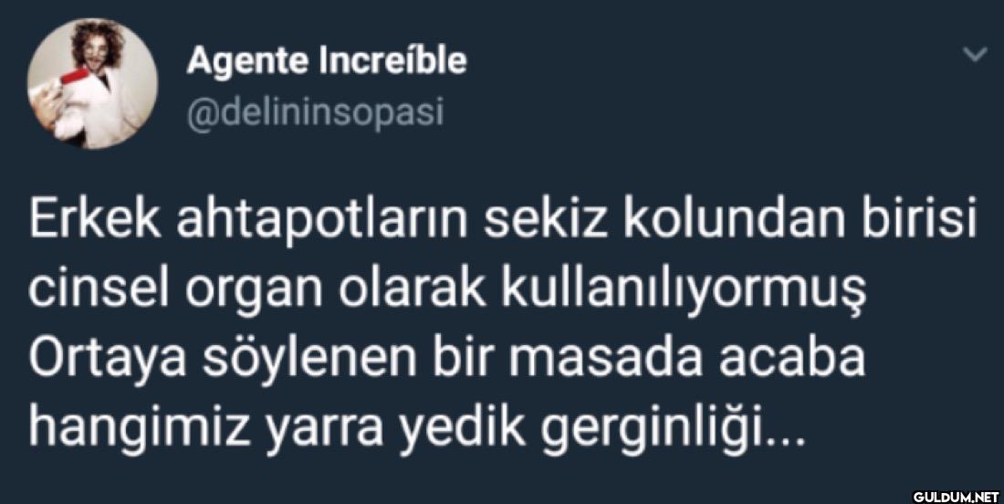 Erkek ahtapotların sekiz...