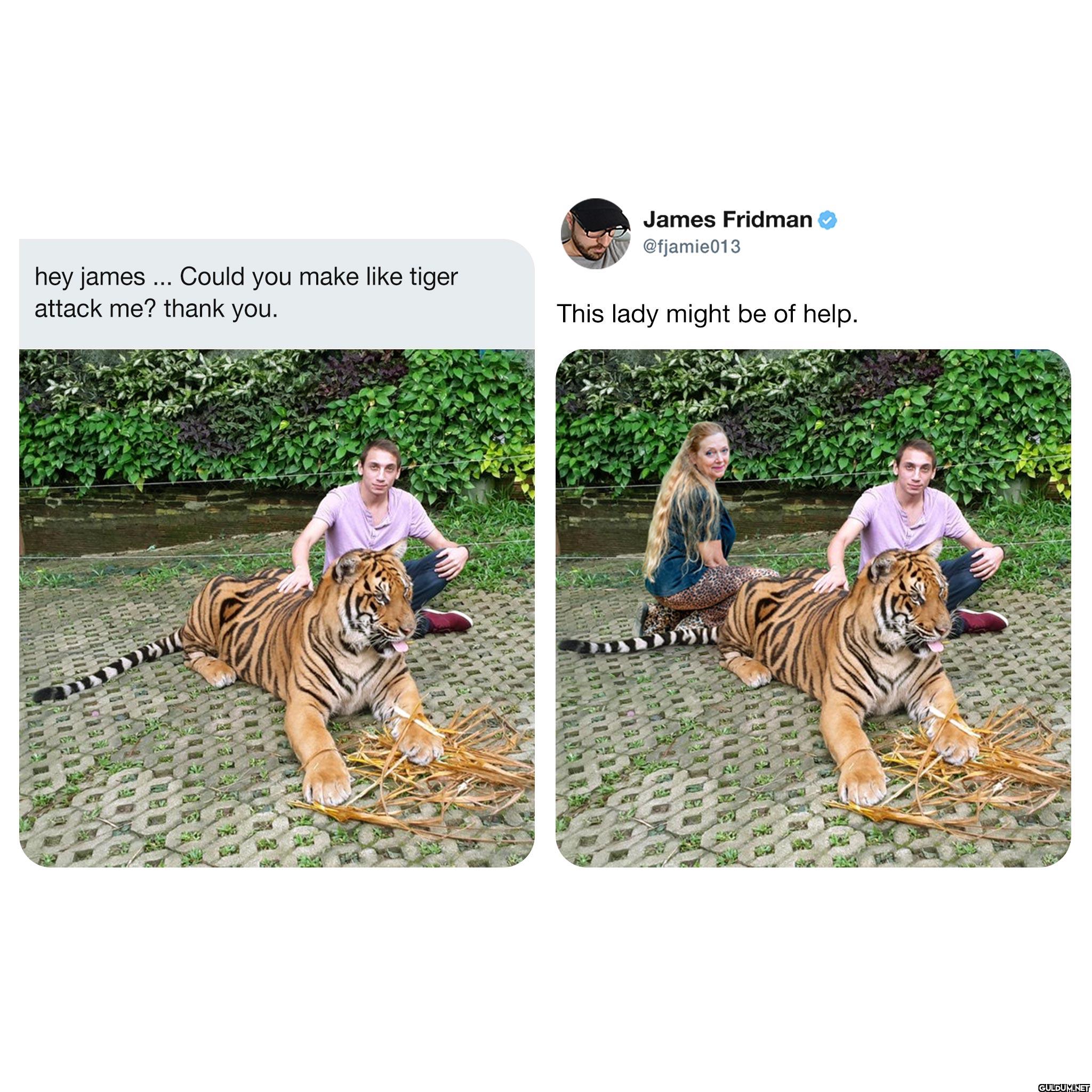 hey james ... Could you...