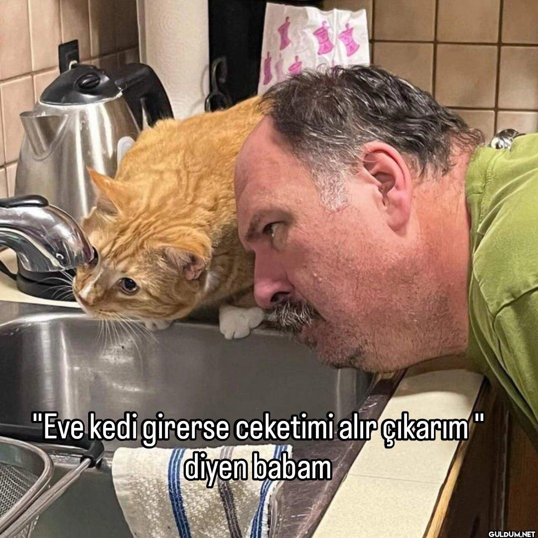 "Eve kedi girerse ceketimi...