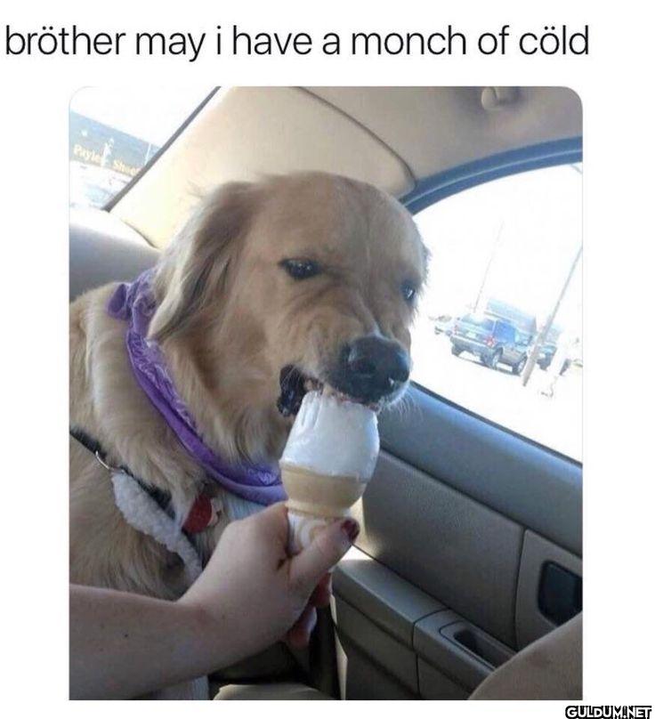bröther may i have a monch...