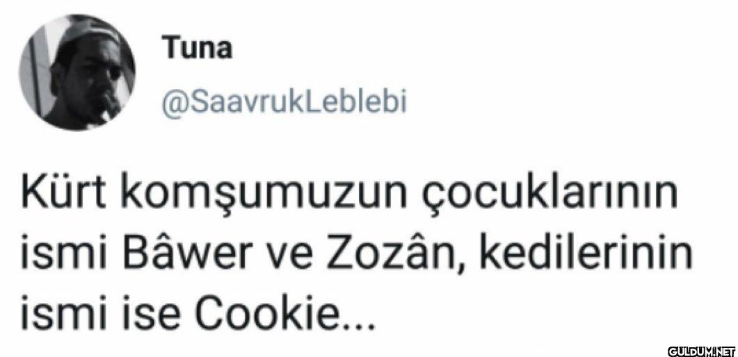 Kürt komşumuzun...