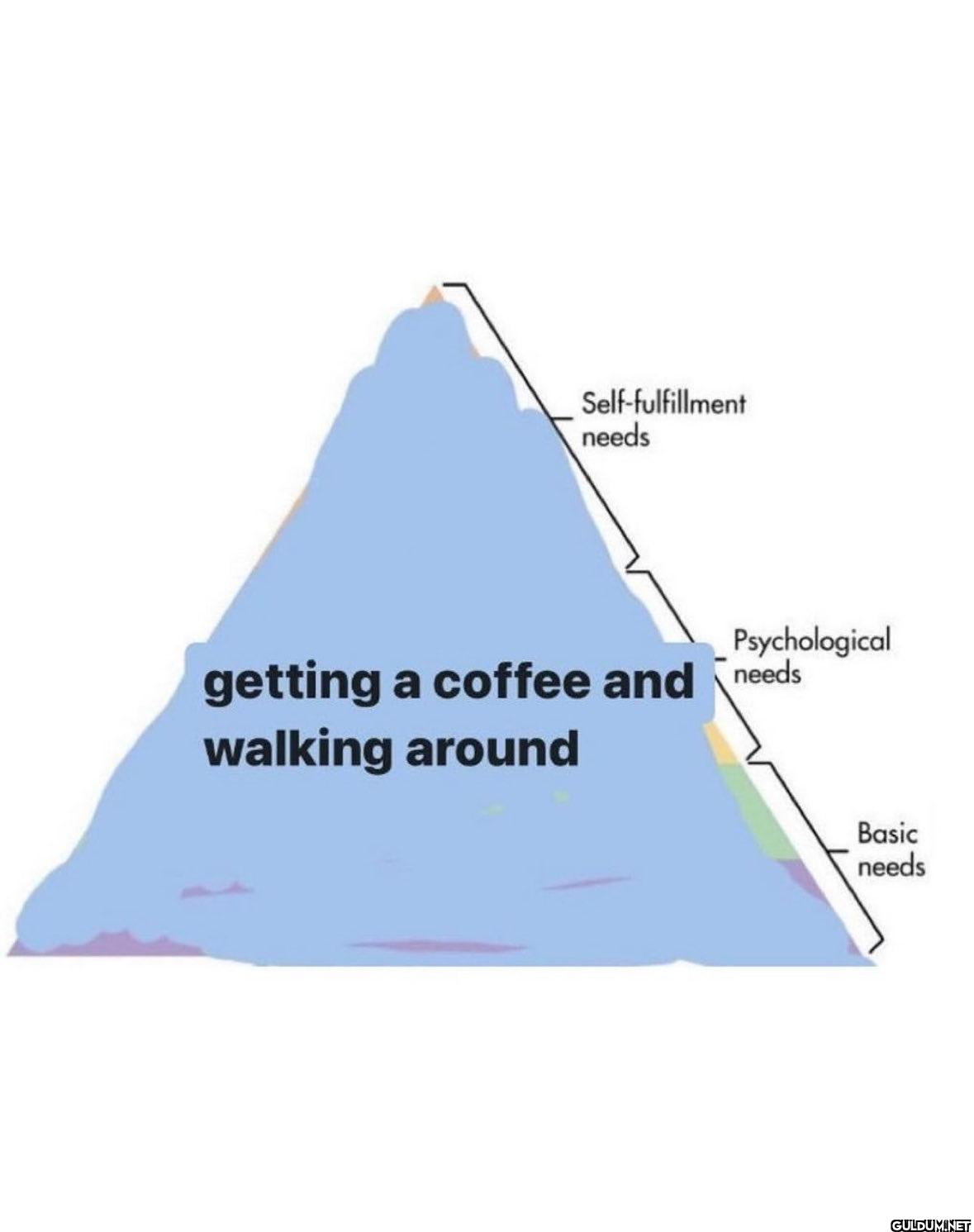 Self-fulfillment needs...