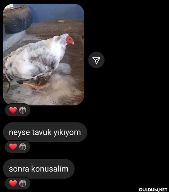 neyse tavuk yıkıyom sonra...