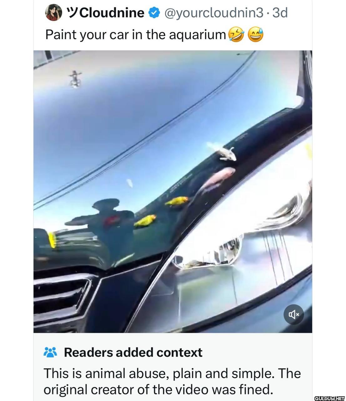 Paint your car in the...