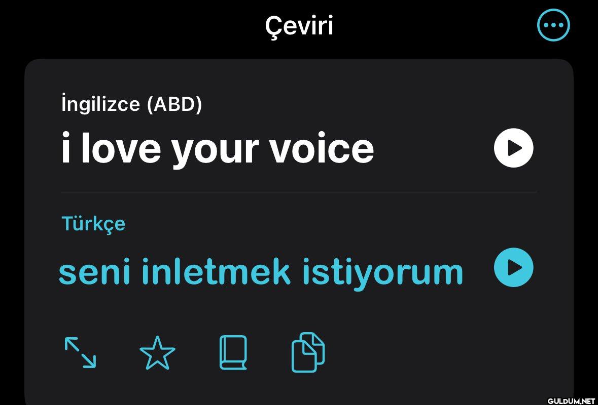 İngilizce (ABD) Çeviri i...