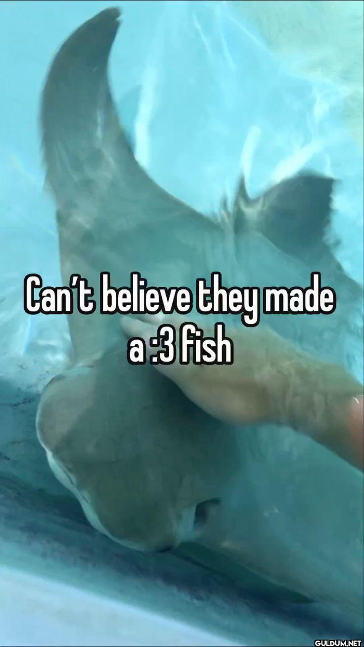 Can't believe they made a 3 fish