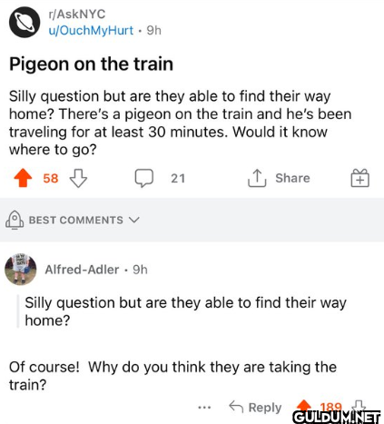 r/AskNYC u/OuchMyHurt 9h...