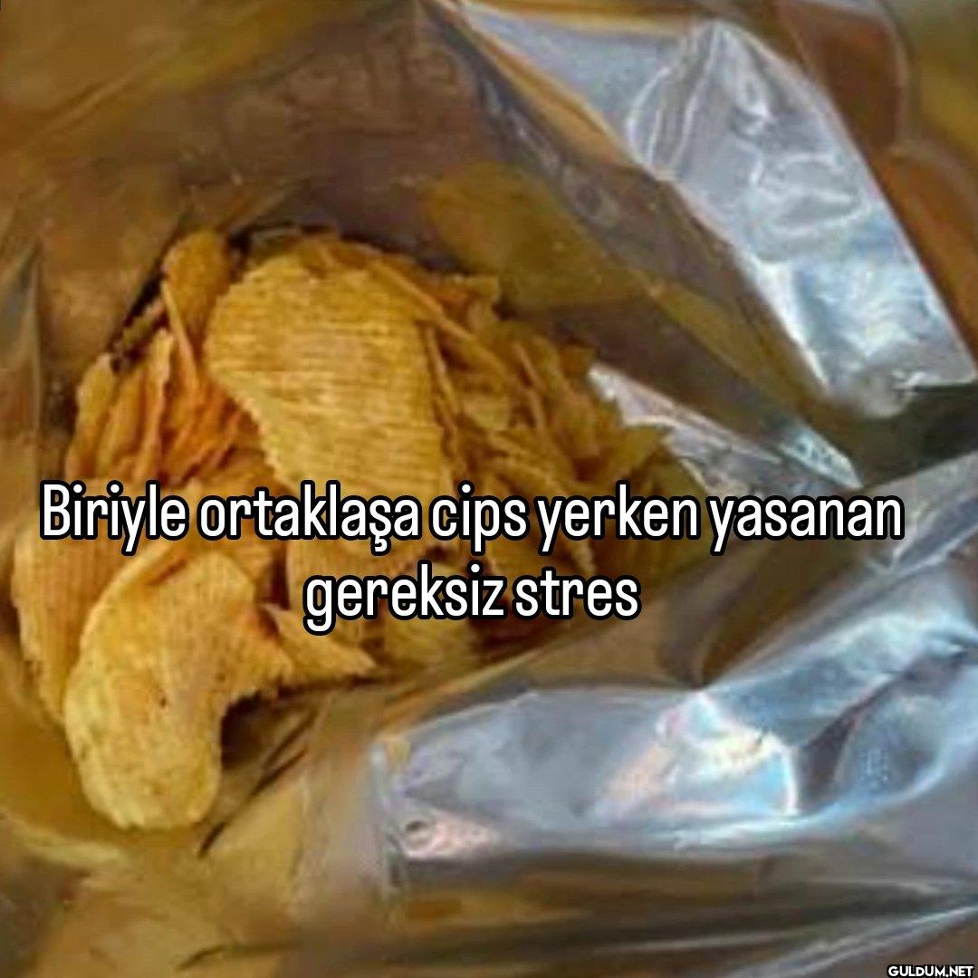 Biriyle ortaklaşa cips...