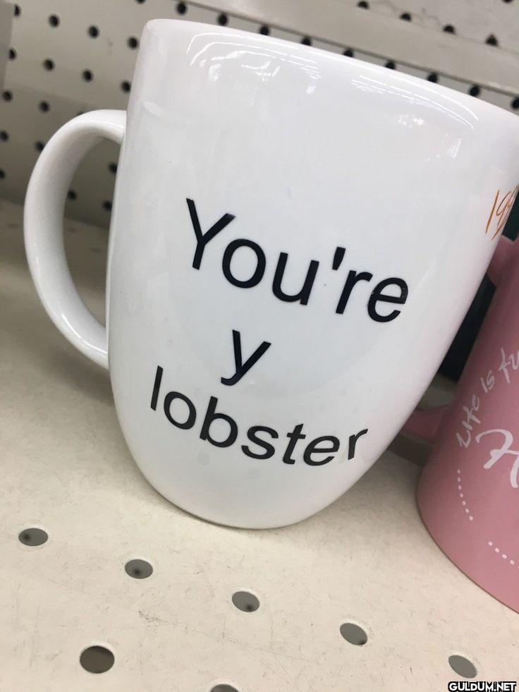 You're y lobster is fu จ