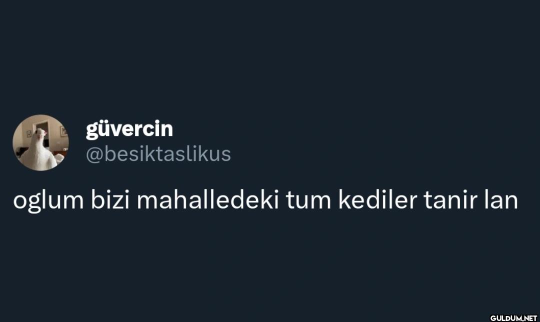 oglum bizi mahalledeki tum...
