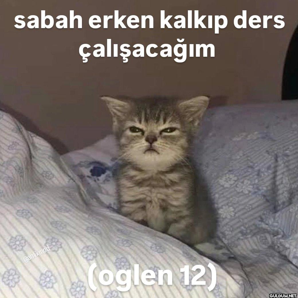 sabah erken kalkıp ders...
