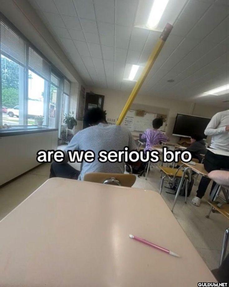 are we serious bro