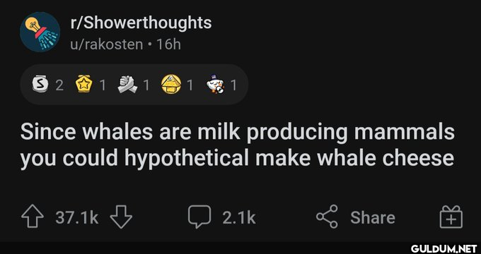 r/Showerthoughts...