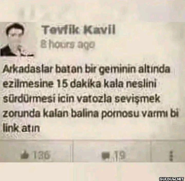 Tevfik Kavil 8 hours ago...