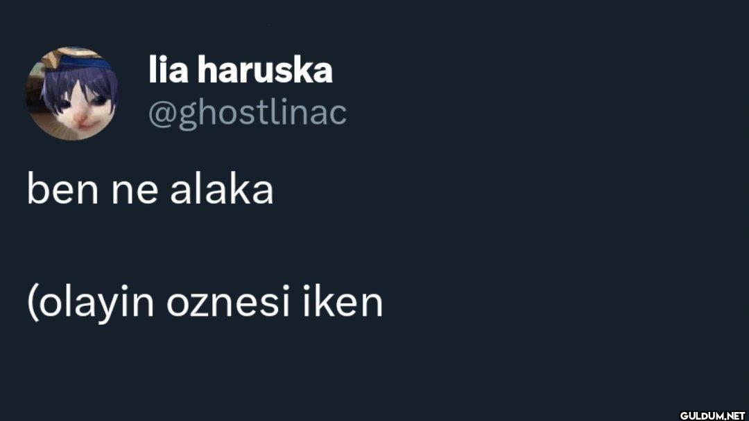 ben ne alaka (olayin oznesi iken