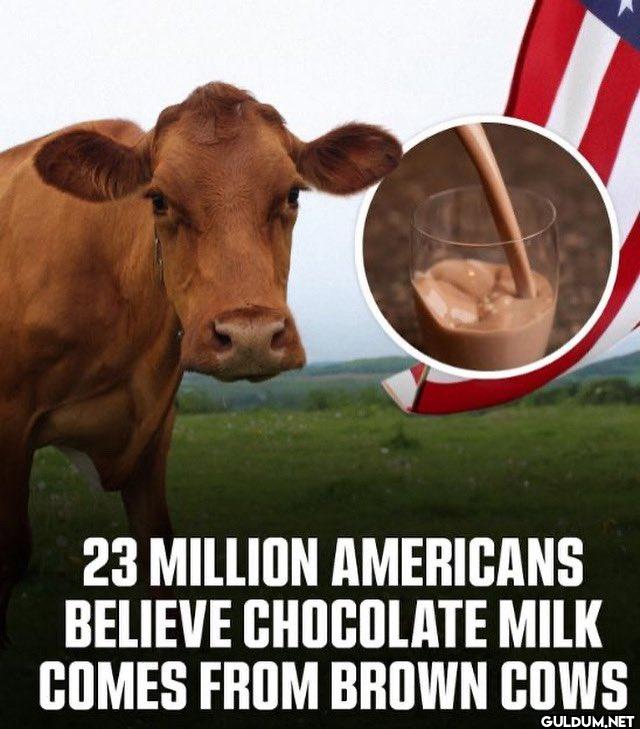 23 MILLION AMERICANS...