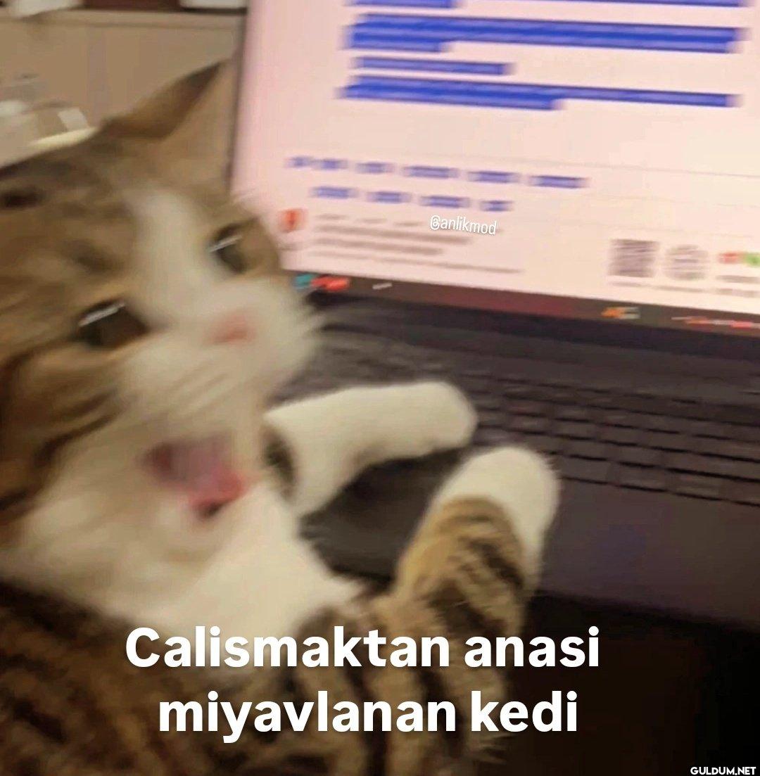 Canlikmod 4 Calismaktan...