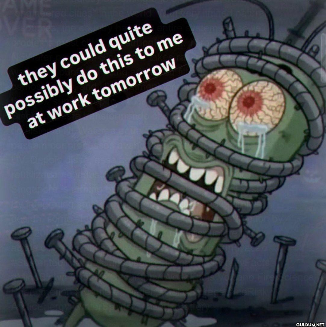 they could quite possibly...