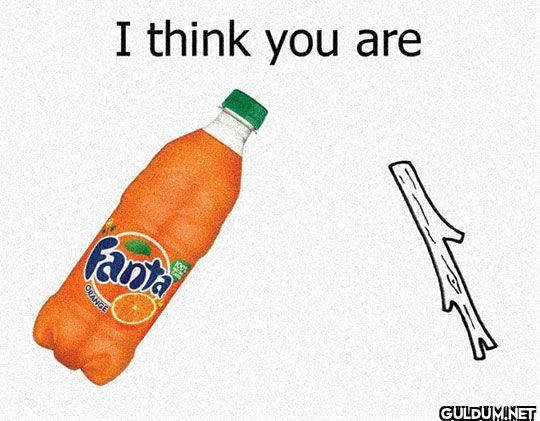 I think you are fanta ORANGE